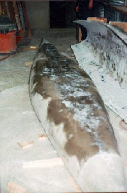 the mold removed